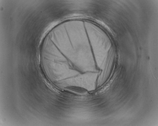 X0000075831413200610151508