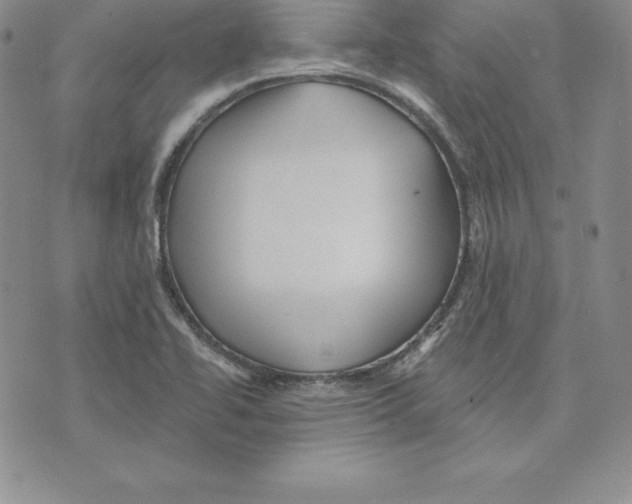 X0000075831414200610151508