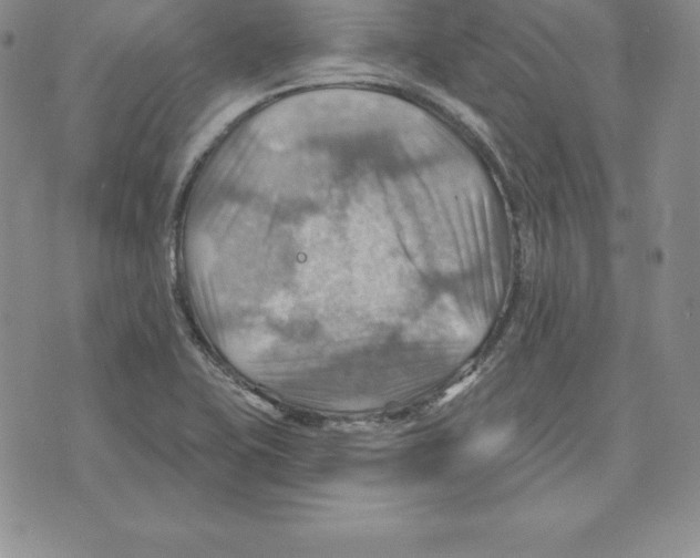 X0000075831415200610151508