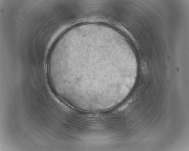 X0000075831416200610151508