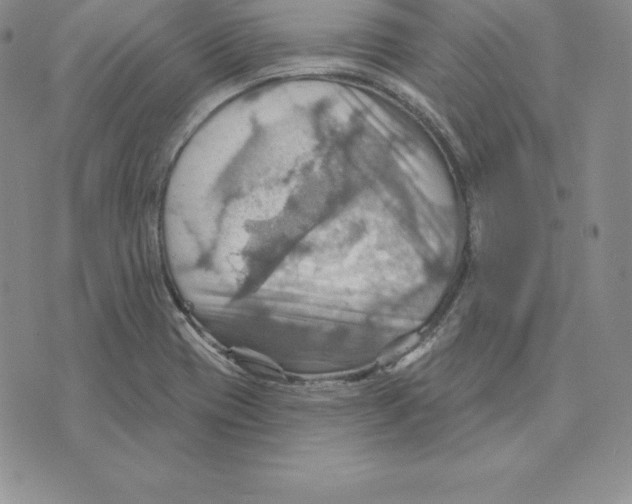 X0000075831417200610151508