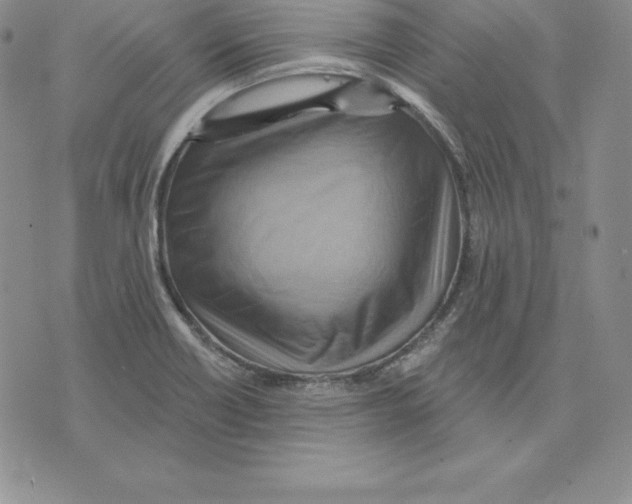 X0000075831418200610151508