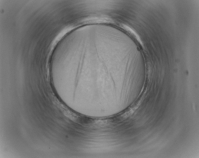 X0000075831419200610151508