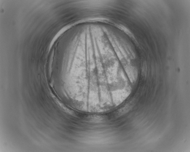 X0000075831420200610151508