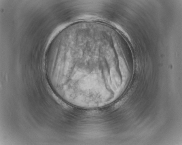 X0000075831421200610151508