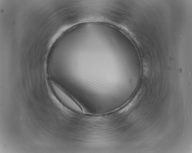 X0000075831422200610151509