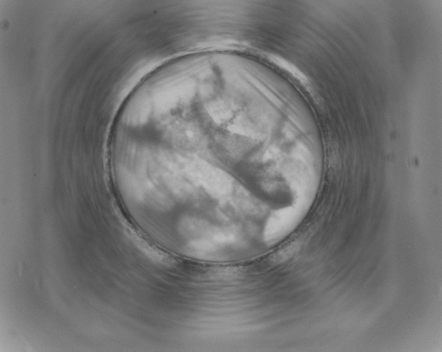 X0000075831423200610151509