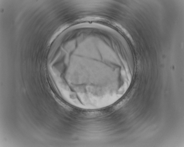 X0000075831425200610151509