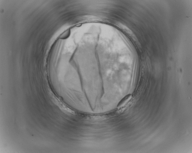 X0000075831427200610151509