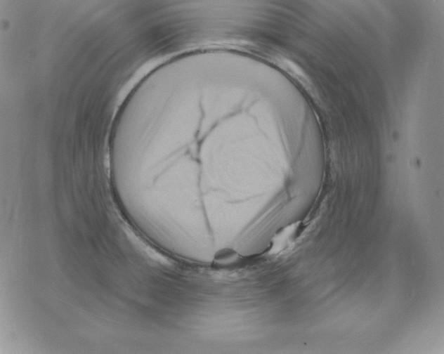 X0000075831428200610151509