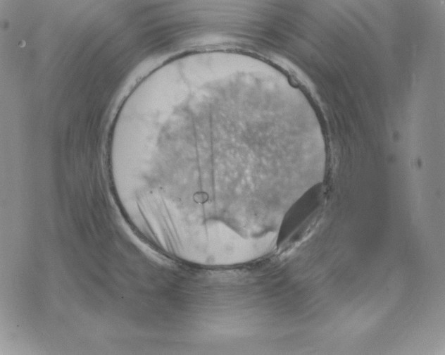 X0000075831429200610151509