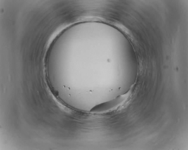 X0000075831430200610151509