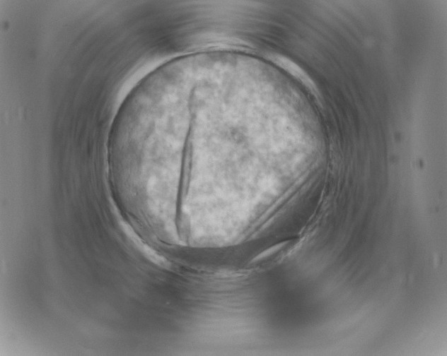 X0000075831431200610151509