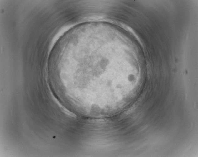 X0000075831432200610151509