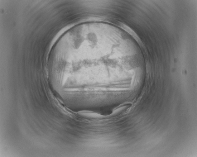 X0000075831436200610151509