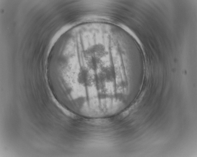 X0000075831437200610151509