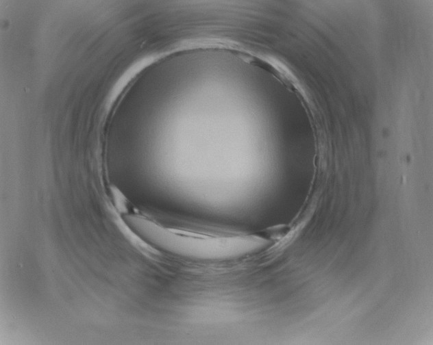 X0000075831438200610151509