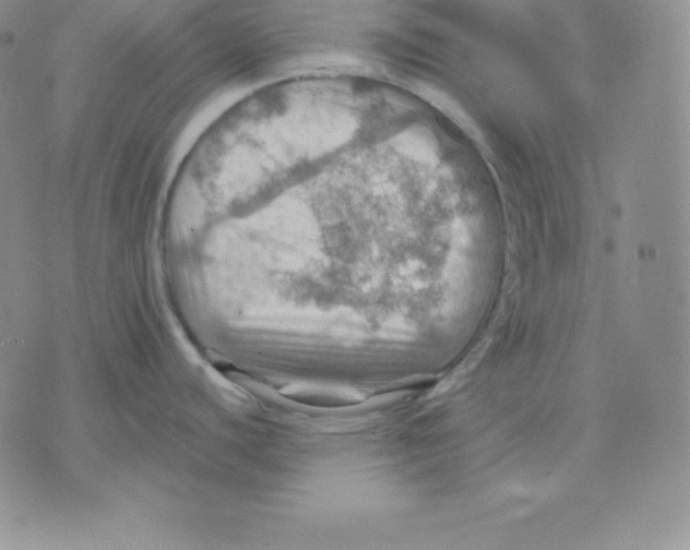 X0000075831440200610151509