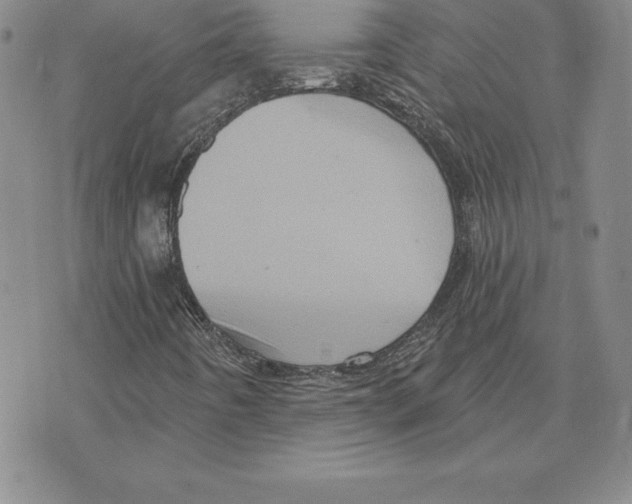 X0000075831442200610151508