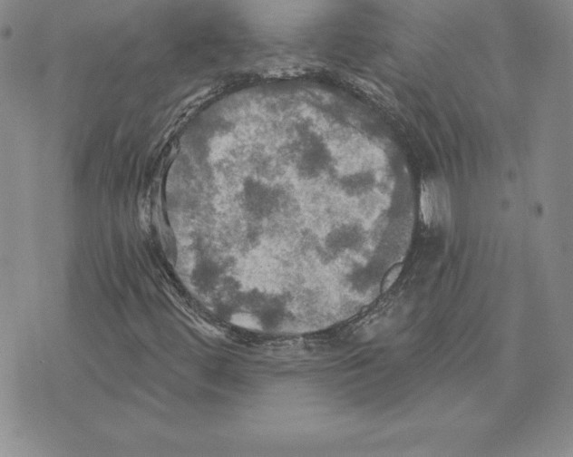 X0000075831444200610151508