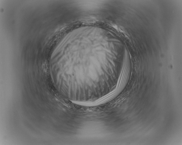 X0000075831445200610151508