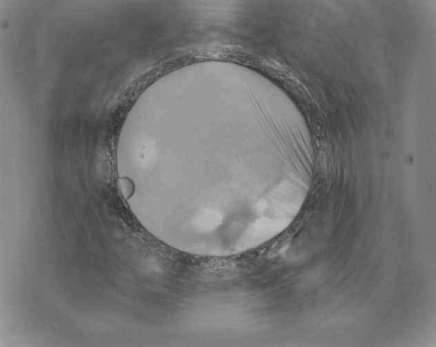 X0000075831446200610151508