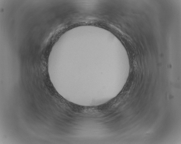 X0000075831447200610151508