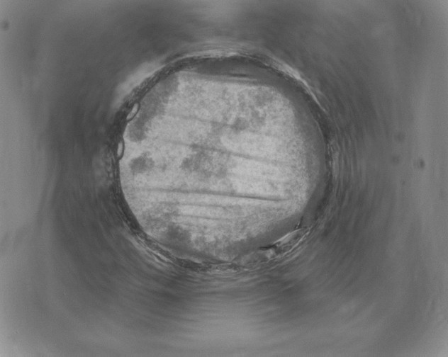 X0000075831448200610151508