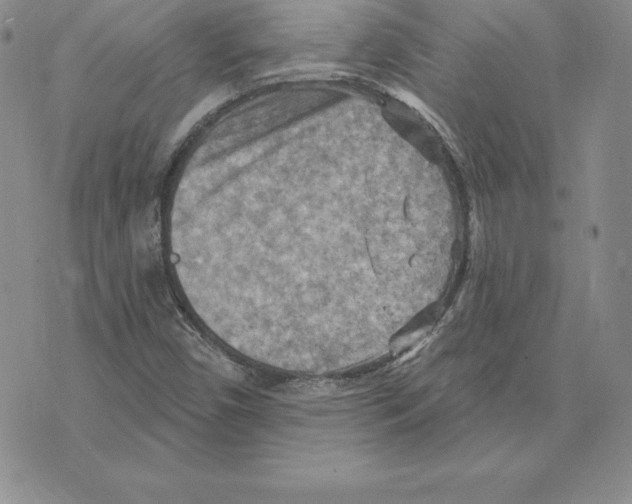 X0000075831450200610151508