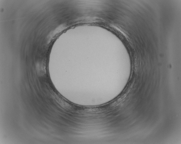 X0000075831451200610151508