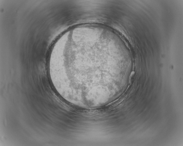 X0000075831452200610151508