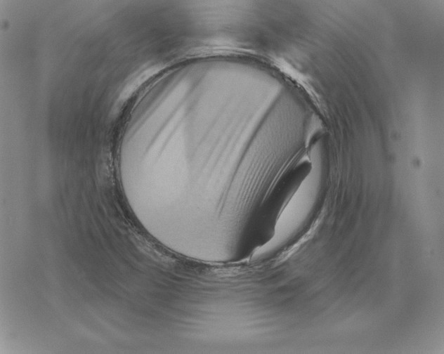 X0000075831453200610151508