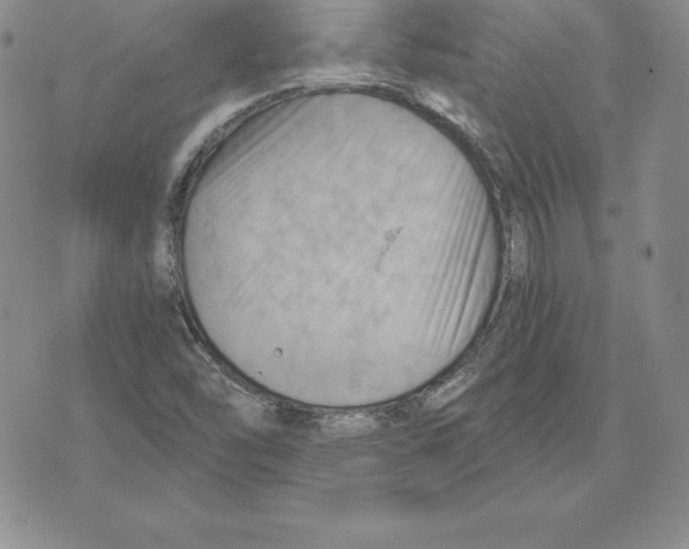 X0000075831454200610151508