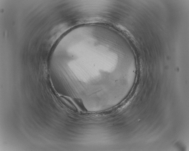 X0000075831457200610151508