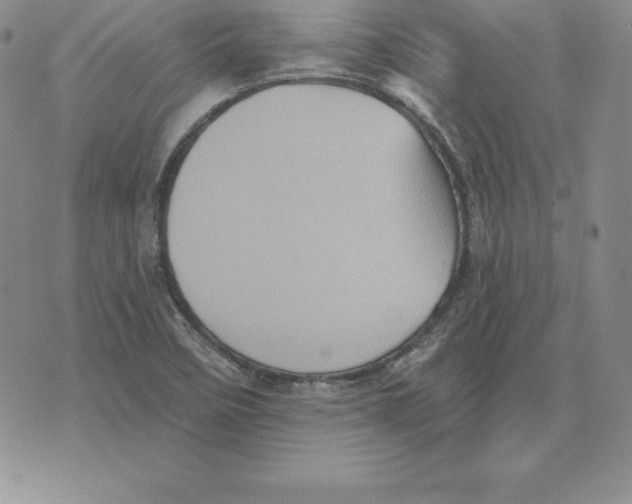 X0000075831458200610151508