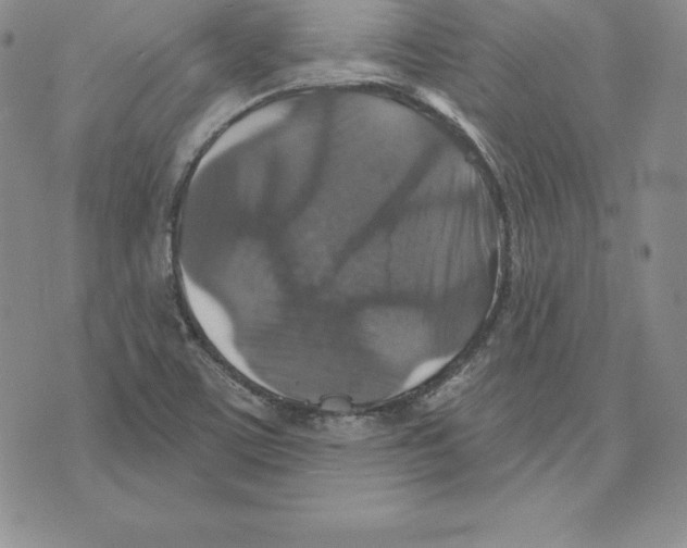 X0000075831459200610151508