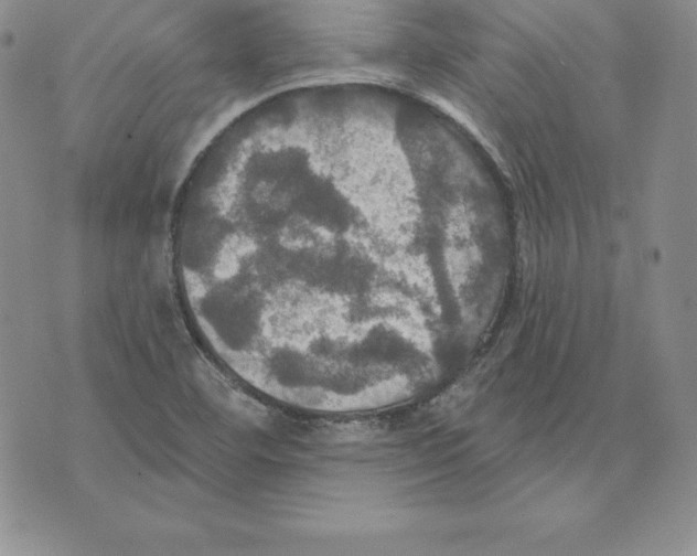 X0000075831460200610151508