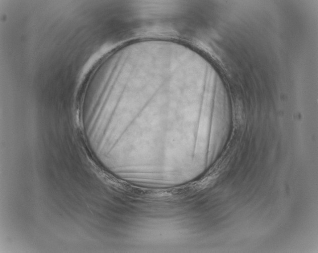 X0000075831462200610151508