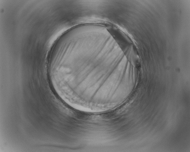 X0000075831463200610151508