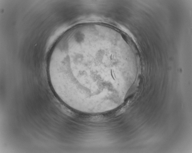 X0000075831464200610151508