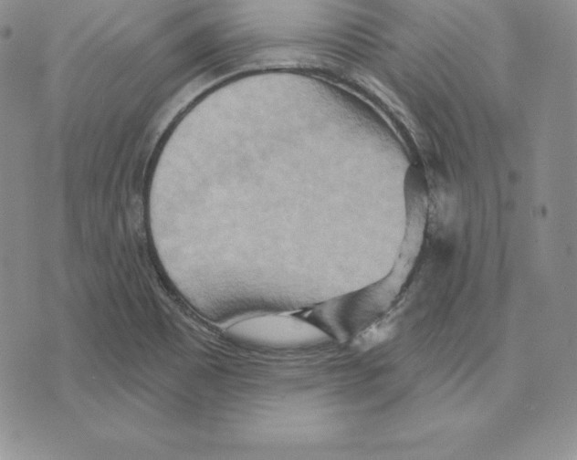 X0000075831465200610151508