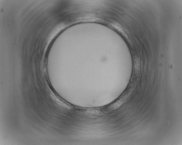 X0000075831466200610151508