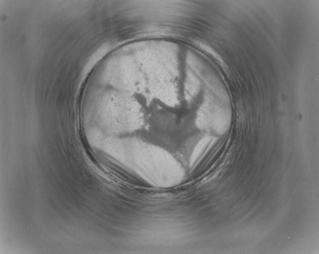 X0000075831467200610151508