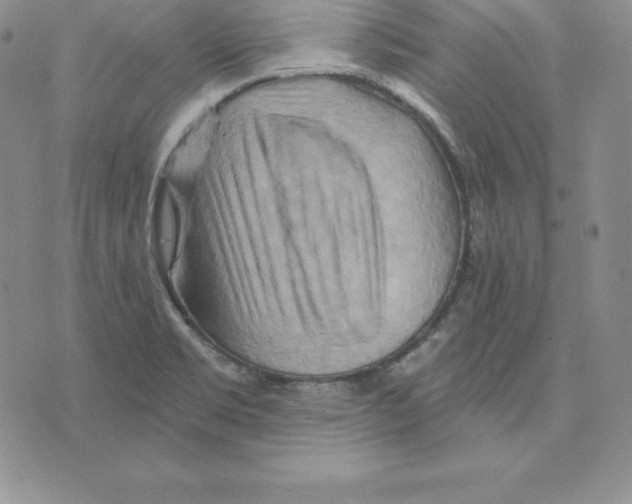 X0000075831469200610151508