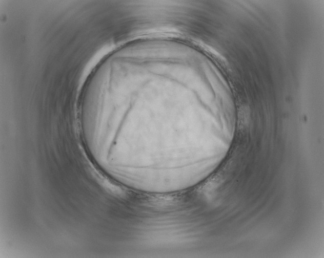 X0000075831470200610151508