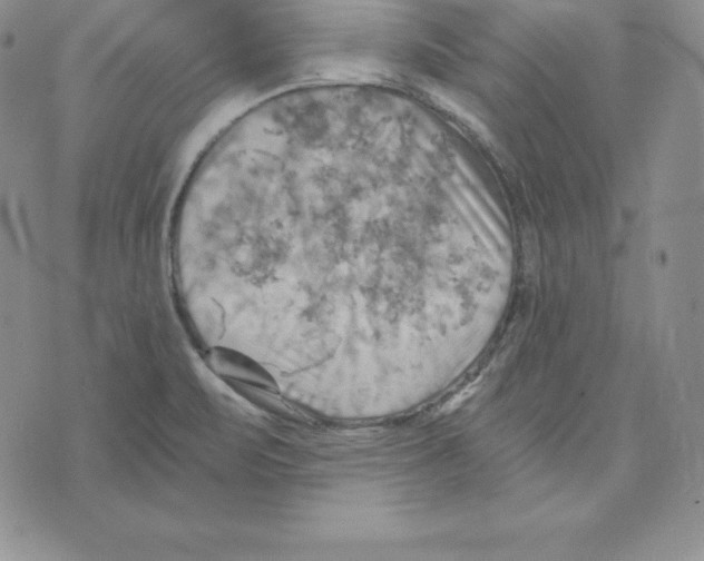 X0000075831471200610151508