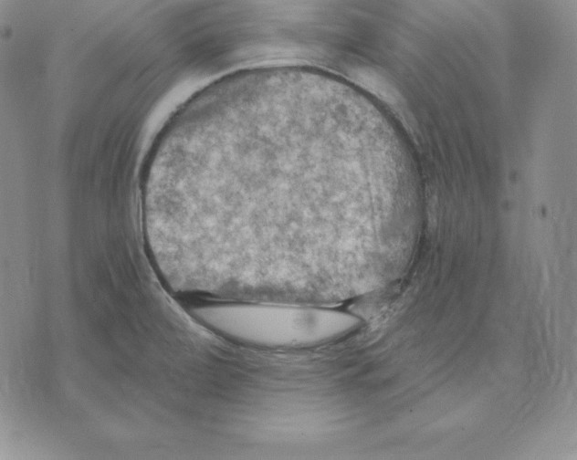 X0000075831472200610151508