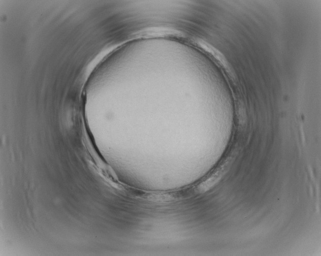 X0000075831473200610151508