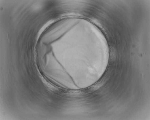 X0000075831474200610151507