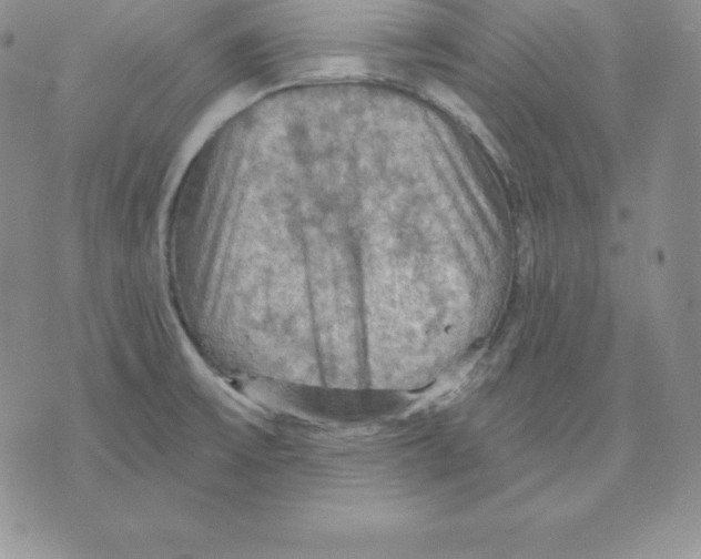 X0000075831475200610151507